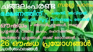 ചങ്ങലംപരണ്ട  bone setter  ഒരുകാൽ മുടന്തൻ  വയല  ഇടല  വജ്ര വള്ളി  അസ്ഥിശൃംഖല  ചങ്ങലമ്പരണ്ട [upl. by Salvatore]