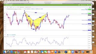 How to Trade Forex For Beginners with iMarkets Live Harmonic Scanner Review Support amp Resistance [upl. by Eenaj]