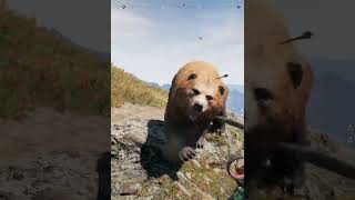 Far Cry 5 Clear Location of Grizzly Bear  Facing Grizzly Bear Head On  Hunting Grizzly Bear [upl. by Luhey745]