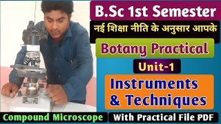 BSc 1st Semester Botany Practical According to New Education PolicyBotany Practical For BSc1st Year [upl. by Attwood50]