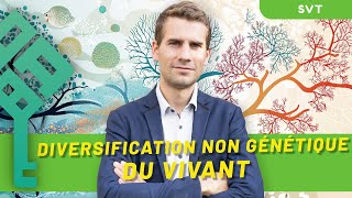 Diversification non génétique du vivant  Terminale SVT  Bac 2025  La Boite à Bac [upl. by Merl]