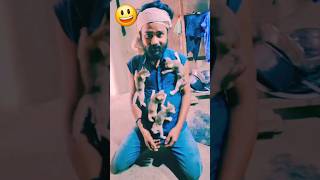 Comedy funny Billi wale funny comedy video [upl. by Proud]