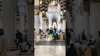 تیرے کرم کی کیا بات مولا تیرے حرم کی کیا بات مولا viralvideo trending allah 🤲🏻🕋🕊️🌹 [upl. by Aicek219]