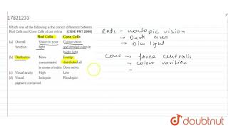 Which one of the following is the correct difference between Rod Cells and cone cells of our retina [upl. by Ojyma]