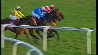 1997 Tingle Creek Chase Ask Tom Includes Replay [upl. by Arreip]