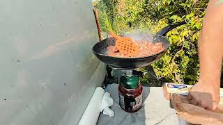 cooking dinner with bees flying around dropped my pan ran out of propane [upl. by Hpesoy]