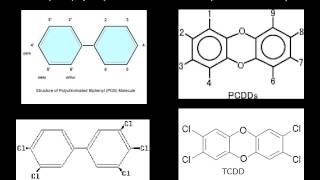 halogenated aromatic hydrocarbons [upl. by Oeflein794]