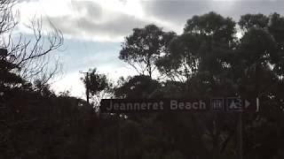 Surfing at binalong bay [upl. by Neetsirk]