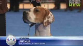 Lee Ann amp Arthur In The Group Ring at Eukanuba [upl. by Raye699]