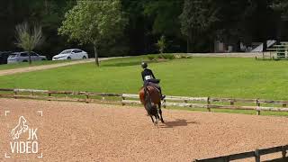 Cambrie Findeisen  National Hunter Derby [upl. by Yengac]