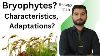 Bryophytes characteristics and Adaptations class 11  Biology [upl. by Mowbray]