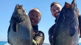 cedros island spearfishing yellowtail  grouper [upl. by Ynamrej]