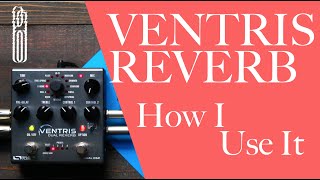 How I Use VENTRIS REVERB [upl. by Lennad]