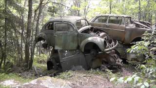 Car graveyard Båstnäs in the forest 25 [upl. by Fassold]