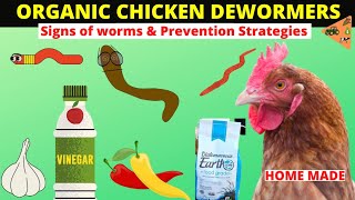 HOW TO MAKE ORGANIC DEWORMER FOR CHICKEN Signs amp Preventing worms infestation in Chicken NATURALLY [upl. by Marsha]