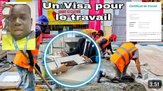 Le certificat de travail doit être obligatoire pour ts yene Opportunités dans certains pays en wolof [upl. by Firestone504]