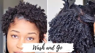 Wash n Go on Short Natural Hair  Nighttime Routine  Thick Low Porosity Hair  DEFINED CURLS [upl. by Woods]