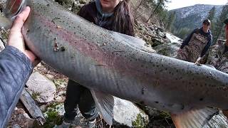 Spring Steelhead  2019 Edition [upl. by Cairns]