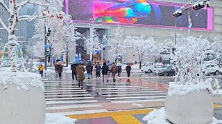 Snowy GWANGHWAMUN Nov 27 2024 The First Heavy Snowfall in Seoul 4K Seoul Korea Walk [upl. by Olivia]