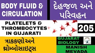 PLATELETS amp THROMBOCYTES IN GUJARATI  ત્રાકકણો અને થ્રોમ્બોસાઇટ્સ [upl. by Diraf]