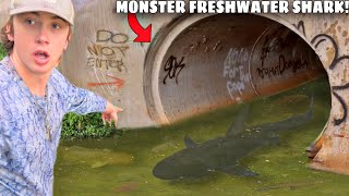 I Caught a MONSTER Freshwater Shark [upl. by Yht]