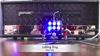 Laffing Dog Blue Dog Overdrive tightening a Mesa Rectifier High Gain [upl. by Kcinomod]