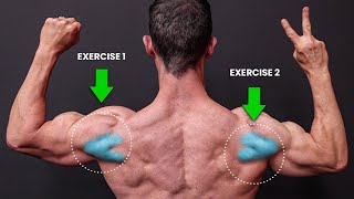 The ONLY 2 Exercises You Need for Rear Delts NO SERIOUSLY [upl. by Neruat]