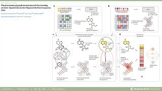 Physicochem GNN for proteinligand interactions from seq Koh Webb Nat Machine Intelligence 2024 [upl. by Niliac]