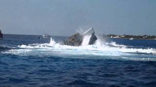 Kittiwake Sinking HD voted best video [upl. by Franklyn]