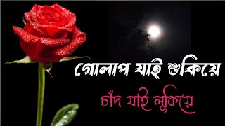 Sotti kore bolchi tomai onek valobasi shayari love shayari প্রেমের সাইরি বাংলা সাইরি☺️🥰🤗 [upl. by Sesmar]