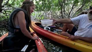 Kayak Tour Key West at Dusk [upl. by Ylloj999]