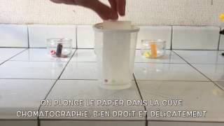 Chromatographie sur couche mince CCM de colorants alimentaires [upl. by Fey]