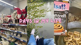 Vlog few days in my life  crochet ballade anime cinnamon roll… ✨ [upl. by Ahseim472]