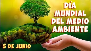 ¿Qué es el MEDIO AMBIENTE y por qué se celebra su día el 5 de junio [upl. by Zarah564]