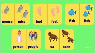 Irregular Plural Nouns  Grammar with examples  Learn English for Kids [upl. by Nylsor27]