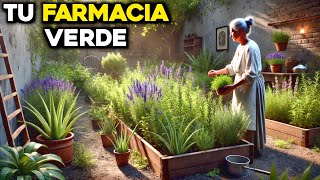 Las Mejores Plantas Medicinales para Tu Huerto en Casa [upl. by Llemhar]