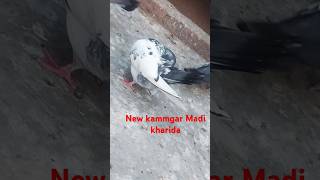 Apne kamagra🎉 nar ka Joda lagane 🎉ke liye Maine 💫ek nai madikammgar kharida🎉🕊️🕊️ [upl. by Staal]