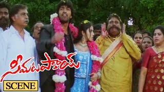 Seema Tapakai Movie Climax Scene  Seema Tapakai Movie  Allari Naresh Poorna [upl. by Kristen4]