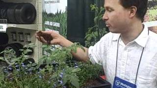 Easiest Raised Bed Kit Vertical Growing and SelfWatering Containers amp more at the 2011 Garden Show [upl. by Aihtnis]