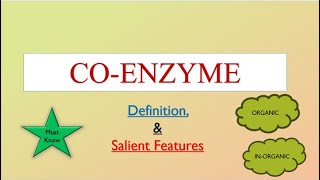 CoEnzymes Definition and Salient Features enzymes 4 [upl. by Caundra]