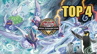 TOP 4 OTS CHAMPIONSHIP  FLOOWANDEREEZE DECK PROFILE POST VASM [upl. by Eentihw]