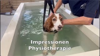 Impressionen Physiotherapie für Hunde Kynofit [upl. by Riana]