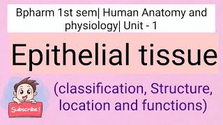 Epithelial tissue [upl. by Irehs]