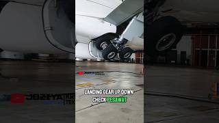 Landing Gear UP DOWN Check Pesawat pesawat pesawatterbang pesawattempur [upl. by Dorrej]