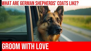 Grooming Essentials for a Beautiful German Shepherd Coat [upl. by Esinehc]