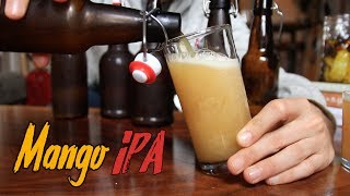 Idiots Guide to Making Incredible Beer at Home [upl. by Gnauq]