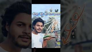 कीड़ा🐛बेटे को मेला🤩घुमाया comedy insect [upl. by Renwick]