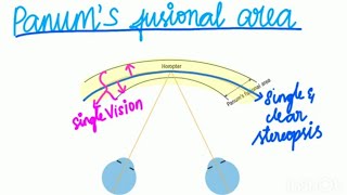 HOROPTER EXPLAINED IN TAMIL [upl. by Flatto]