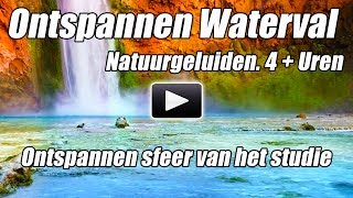 Natuurgeluiden Van Water Studie Focus Slaap Witte Ruis Studeren Rust Ambient Waterval Meditatie [upl. by Lavern432]