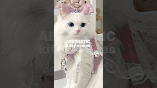 Aesthetic kitty names ✨🦋 aesthetic cat viralvideo aesthetic lyrics [upl. by Leirraj]